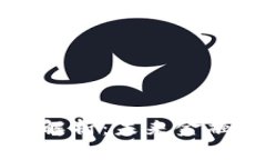 数字货币技术解析：未来